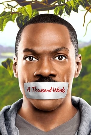 A Thousand Words (2012) Dual Audio | Dubbed Hindi Movie BluRay [800MB]