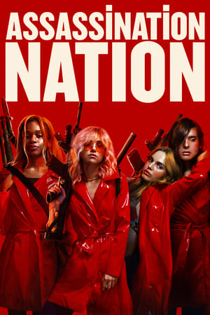 Assassination Nation (2018) Dual Audio | Dubbed Hindi Movie BluRay [940MB]