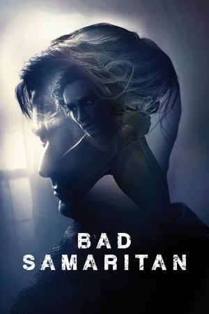 Bad Samaritan (2018) Dual Audio | Dubbed Hindi Movie BluRay [1GB]