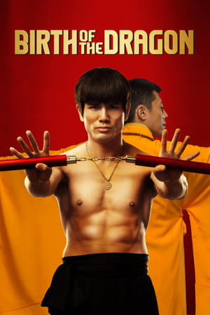 Birth of the Dragon (2016) Dual Audio | Dubbed Hindi Movie BluRay 350MB