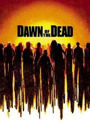 Dawn of the Dead (2004) Dual Audio Movie | Dubbed Hindi Movie BluRay - 1GB
