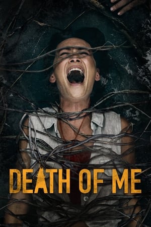 Death of Me (2020) Dual Audio | Dubbed Hindi Movie HDRip [900MB]