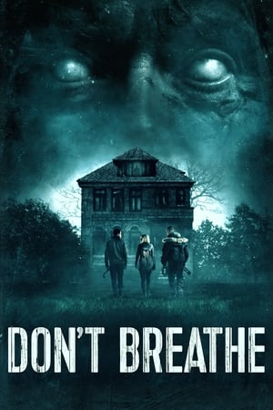 Don't Breathe (2016) Dual Audio | Dubbed Hindi Movie BluRay 300MB