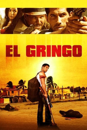 El Gringo (2012) Dual Audio | Dubbed Hindi Movie HDRip 300MB