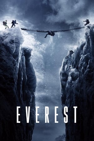 Everest (2015) Dual Audio | Dubbed Hindi Movie BluRay 450MB