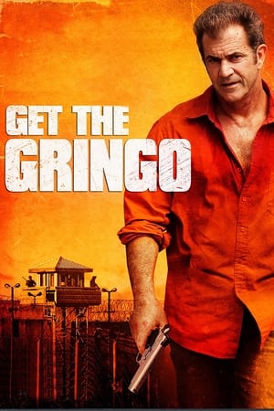 Get the Gringo (2012) Dual Audio | Dubbed Hindi Movie BluRay 300MB