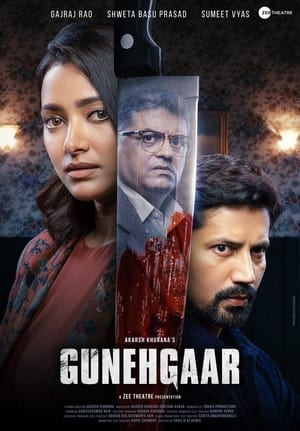 Gunehgaar (2023) HDRip | Dubbed Hindi Movie | 480p
