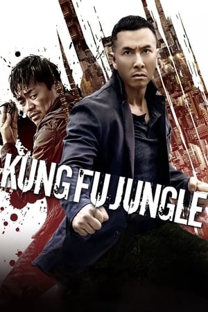 Kung Fu Jungle (2014) Dual Audio | Dubbed Hindi Movie BluRay 300MB