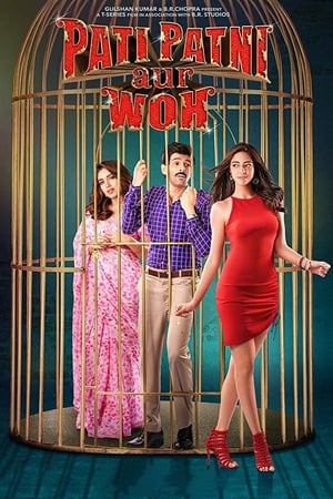 Pati Patni Aur Woh 2019 Movie | Dubbed Hindi Movie HDRip x264 [1.2GB]