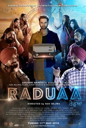 Raduaa 2018 (Punjabi) Movie | Dubbed Hindi Movie DTHRip - [380MB]