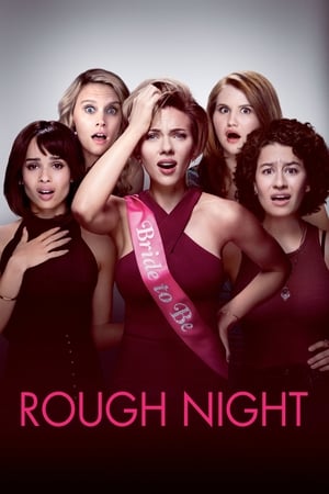 Rough Night (2017) Dual Audio | Dubbed Hindi Movie BluRay [800MB]