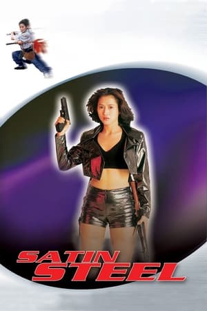 Satin Steel (1994) Dual Audio | Dubbed Hindi Movie Web-DL 260MB
