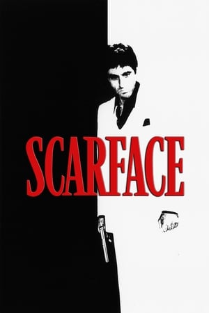 Scarface (1983) Dual Audio Movie | Dubbed Hindi Movie BluRay - 1.4GB