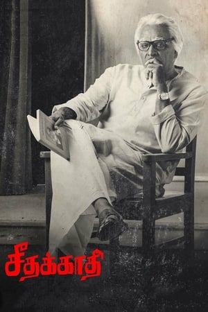 Seethakaathi (2018) Dubbed | Dubbed Hindi Movie HDRip 400MB