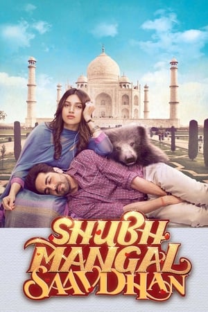 Shubh Mangal Saavdhan (2017) 300MB Full Movie | Dubbed Hindi Movie HDRip Download
