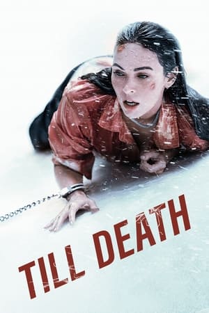 Till Death (2021) Dual Audio | Dubbed Hindi Movie HDRip [750MB]