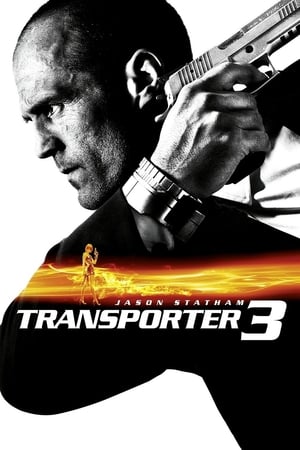 Transporter 3 (2008) Dual Audio | Dubbed Hindi Movie BluRay [850MB]